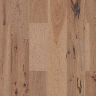 Picture of Shaw Floors - Impressions Hickory Luminous