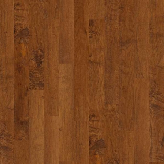 Picture of Shaw Floors - Gulf Breeze Surfside