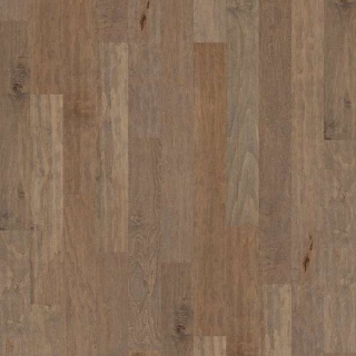 Picture of Shaw Floors - Gulf Breeze Oceanside