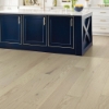 Picture of Shaw Floors - Exploration Oak Passage