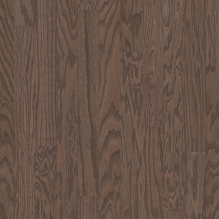 Picture of Shaw Floors - All In II 3.25 Kona LG