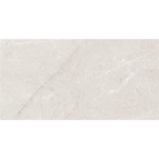 Picture of Roca - Jewels 24 x 48 Etienne Light Gray Polished