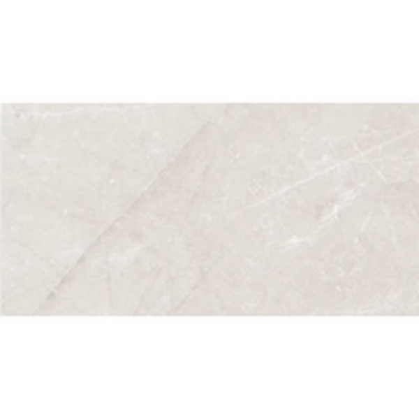 Picture of Roca - Jewels 24 x 48 Etienne Light Gray Polished