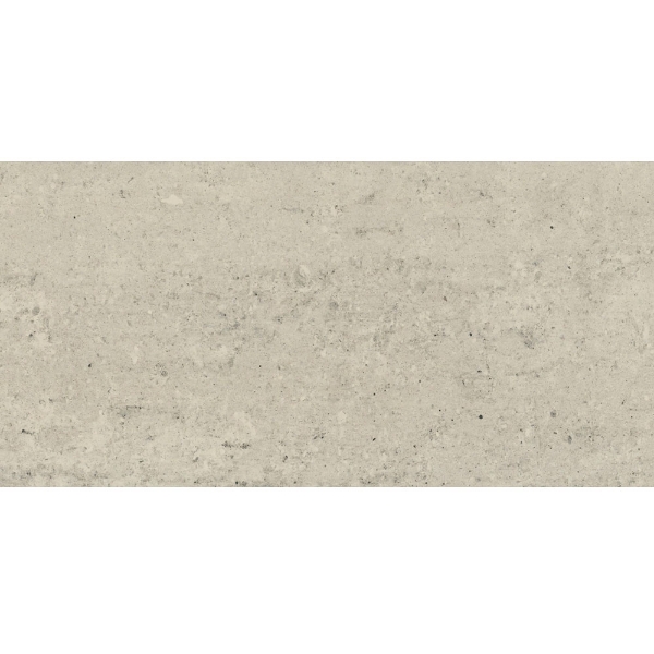 Picture of Roca - Orion II 12 x 24 Polished Gris