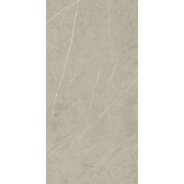 Picture of Roca - Piasentina 12 x 24 Matte Silver