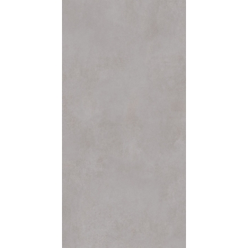 Picture of Roca - Pro 12 x 24 Matte Concrete