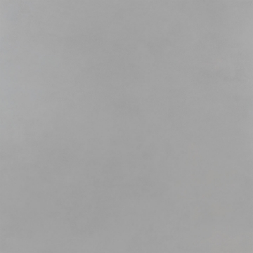 Picture of Roca - Pro 24 x 24 Matte Concrete