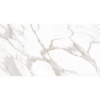 Picture of MiR Mosaic - Arya 24 x 48 Stauario Platina