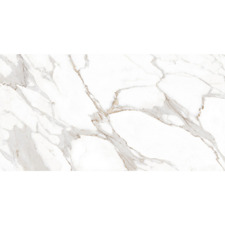 Picture of MiR Mosaic - Arya 24 x 48 Stauario Platina