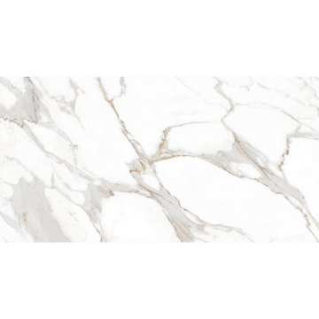 Picture of MiR Mosaic - Arya 24 x 48 Stauario Platina