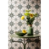 Picture of MiR Mosaic - Catalina Star Sage