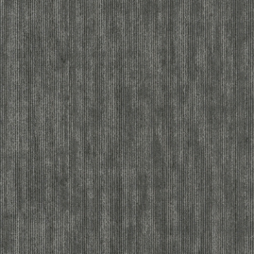 Picture of Patcraft - Perspective Invigorate