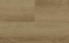Picture of Audacity - Audacity One Cline