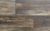 Picture of Audacity - Monticello Cache
