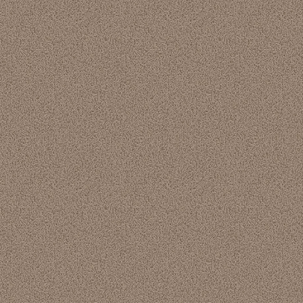 Picture of Patcraft - Color Choice Taupe
