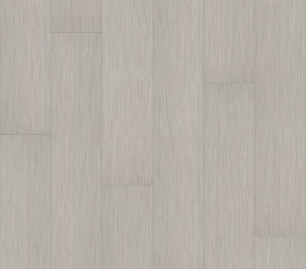 Picture of Philadelphia Commercial by Shaw - Philosophers Tree Fossil