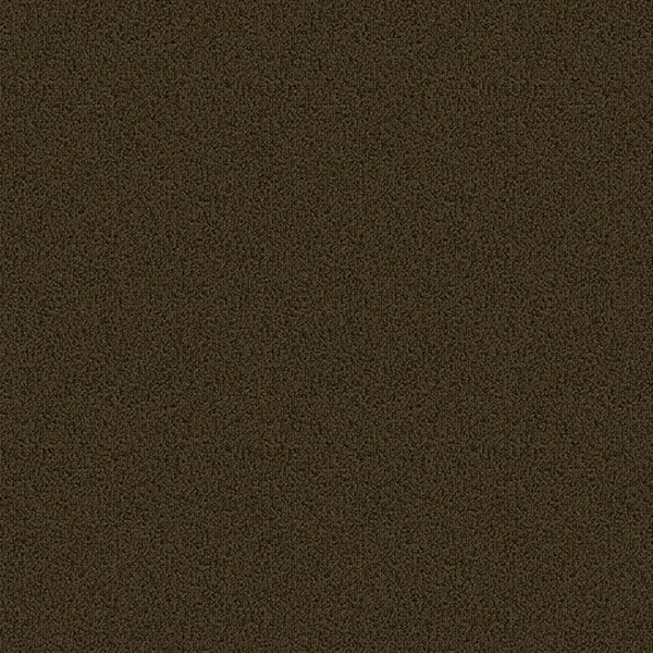 Picture of Patcraft - Color Choice Timber