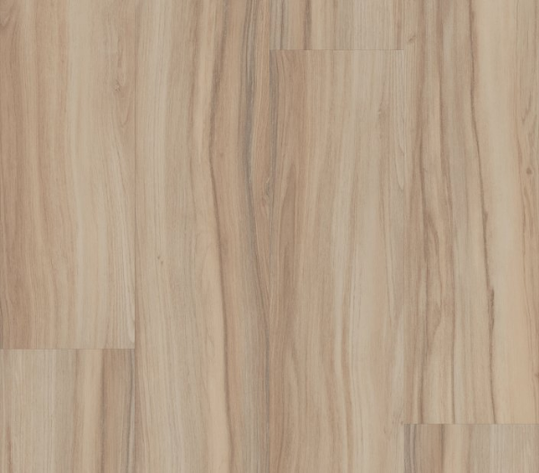 Picture of Philadelphia Commercial by Shaw - Rewild Native