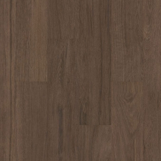 Picture of Philadelphia Commercial by Shaw - Silva Valley 20 Saguaro