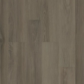 Picture of Philadelphia Commercial by Shaw - Silva Valley 5.0 Yaquina Bay