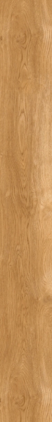 Picture of Patcraft - Highland Forest Light Oak