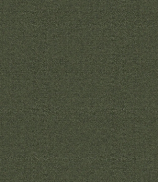 Picture of Mohawk - New Basics III 26 Forest