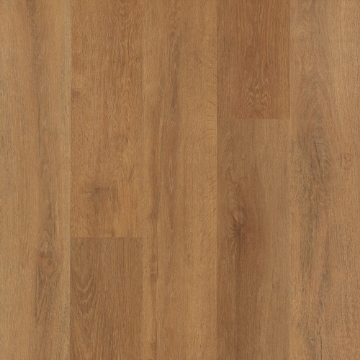 Picture of Mohawk - SolidTech Select Explorers Cove Stormy Sands