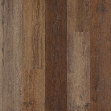 Picture of Mohawk - SolidTech Select Explorers Cove Shadow Woodlands