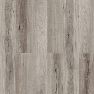 Picture of Chesapeake Flooring - Hemisphere Equator