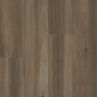 Picture of Armstrong - American Charm 12 Northhamptonshire Bear Brown