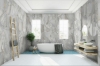 Picture of Happy Floors - Athena 24 x 24 Plata/Polished