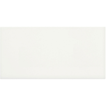 Picture of Anatolia Tile & Stone - Soho 3 x 6 Wall Tile Canvas White Matte