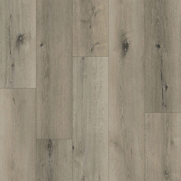 Picture of Raskin - FloorNation Rigid Plank Seaport