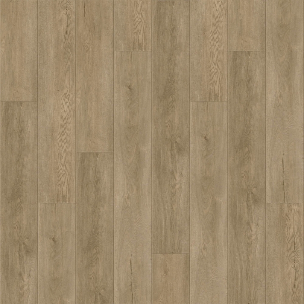 Picture of Raskin - Gencore HD St. John