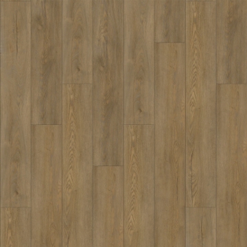 Picture of Raskin - Gencore HD Vail