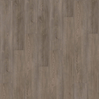 Picture of Raskin - Gencore HD Rocky