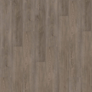 Picture of Raskin - Gencore HD Rocky