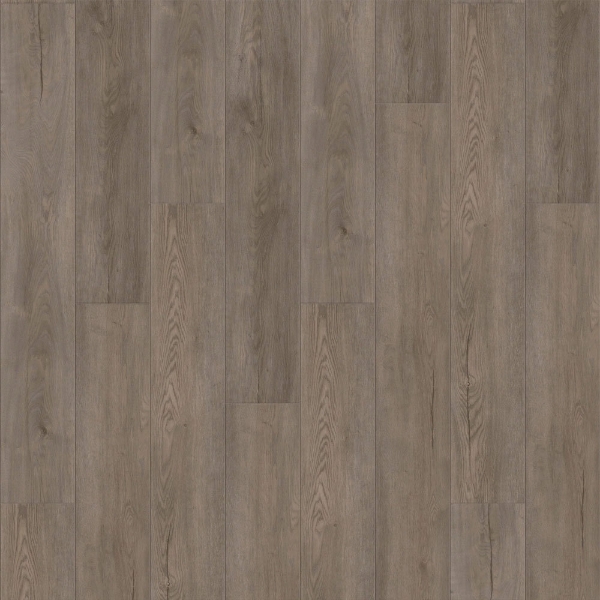 Picture of Raskin - Gencore HD Rocky