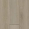 Picture of Raskin - Icon Basel