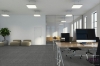 Picture of Pentz - Bespoke Plank Meticulous