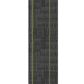 Picture of Pentz - Echo Plank Parrot