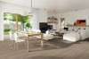 Picture of Engineered Floors - PureGrain Endure Flourish Healthy