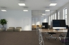 Picture of Pentz - Influencer Tile Blogger