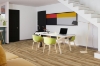 Picture of Engineered Floors - PureGrain Endure Lifestyle St. Thomas