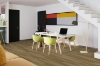 Picture of Engineered Floors - PureGrain Endure Lifestyle Coral Coast