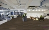 Picture of Pentz - Linea Groove