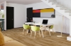Picture of Engineered Floors - PureGrain Endure New Standard Plus Cancun