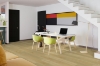 Picture of Engineered Floors - PureGrain Endure Preference Macadamia