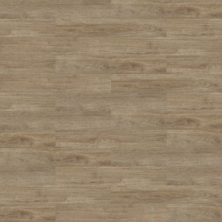 Picture of Shaw Floors - Uncommon Ground 6 Provence