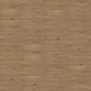 Picture of Shaw Floors - Uncommon Ground 4 Sand Dune